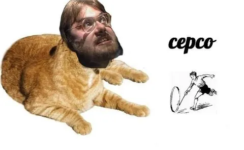 Кот с головой Гейба Ньюэлла