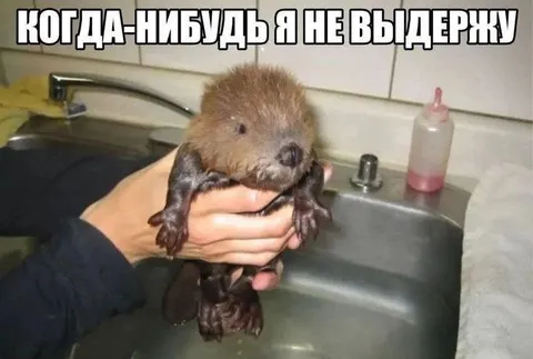 Когда-нибудь я не выдержу