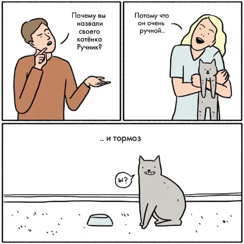 Котёнок Ручник и тормоз