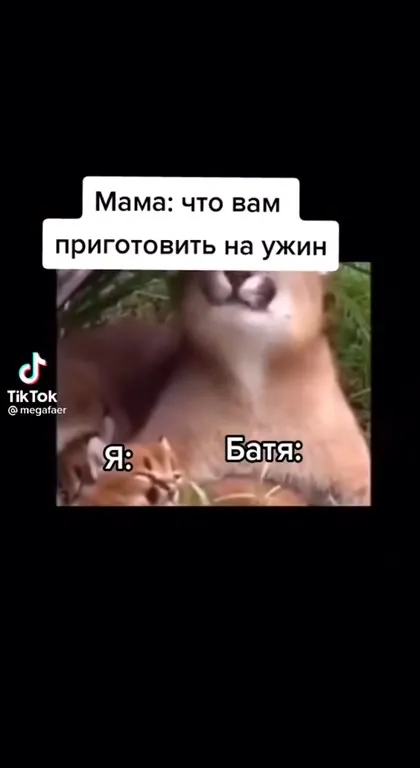 Что приготовить на ужин