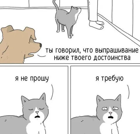 Я не прошу, я требую