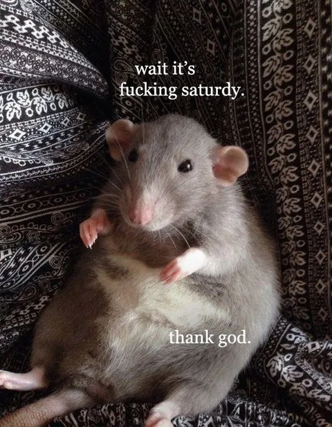 Wait, It's Fucking Saturday