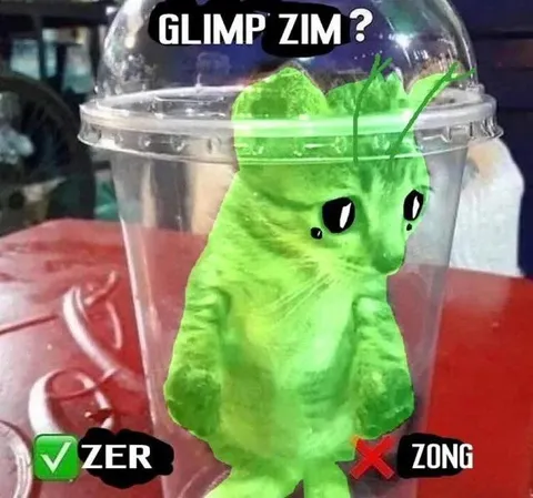 Glimp Zim Zer Zong