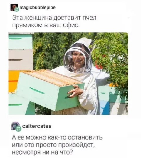 Пчёлы прямиком в офис