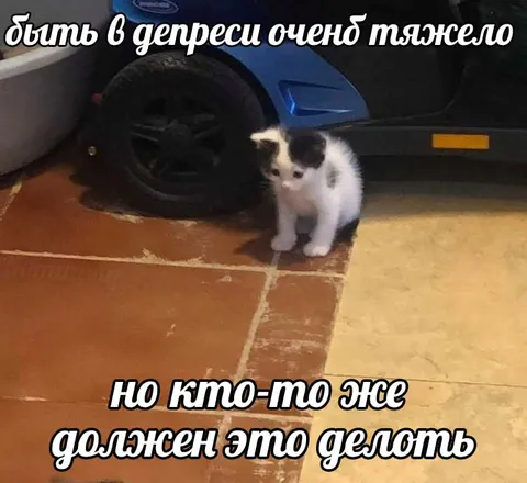 Котёнок в депрессии
