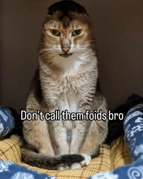 Don't Call Them Foids Bro