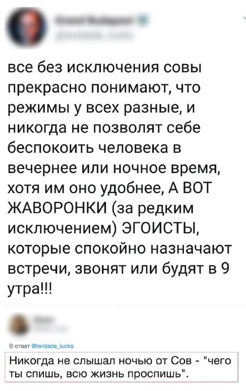Совы против жаворонков