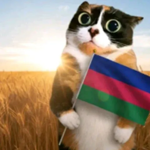 Кот с флагом Азербайджана