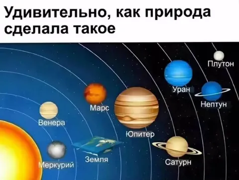 Удивительно, как природа сделала такое