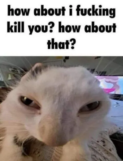 How About I Fucking Kill You