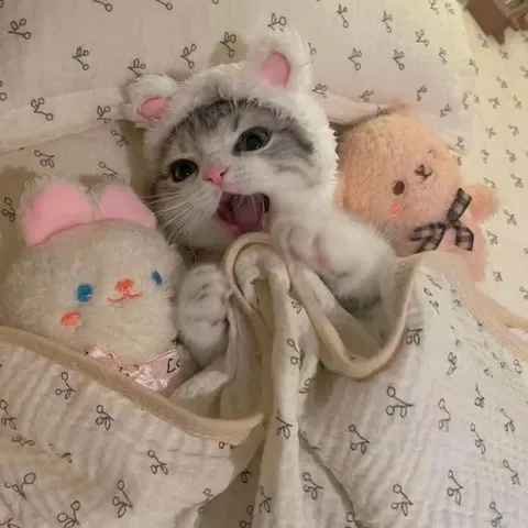 Котёнок в костюме зайчика
