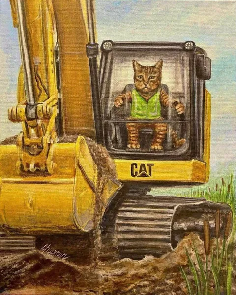 Cat Operating an Excavator