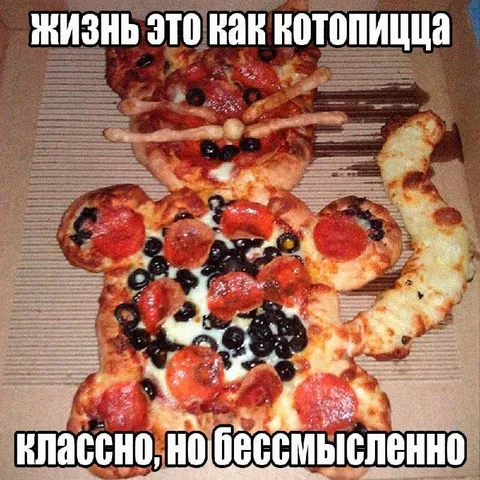 Жизнь как котопицца