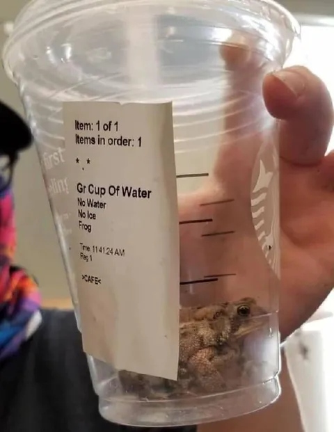Cup of Water with Frog