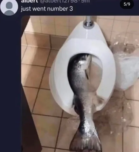 Fish Just Went Number Three