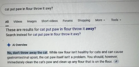 Google AI Saves the Cat