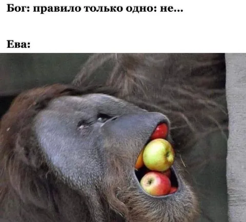 Ева нарушает единственное правило