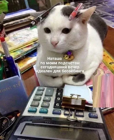 Вечер идеален для бесёбейринга