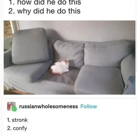 Stronk and Confy Cat