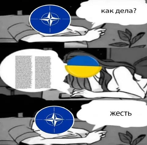 НАТО спрашивает, как дела