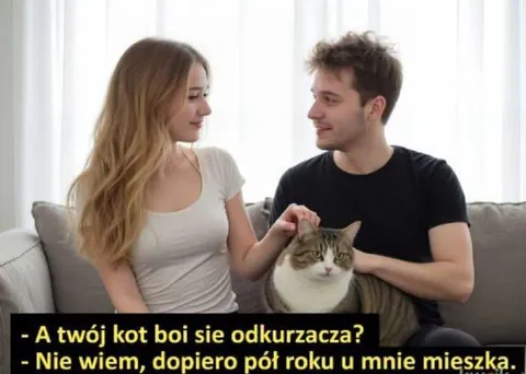 Kot dopiero się przyzwyczaja