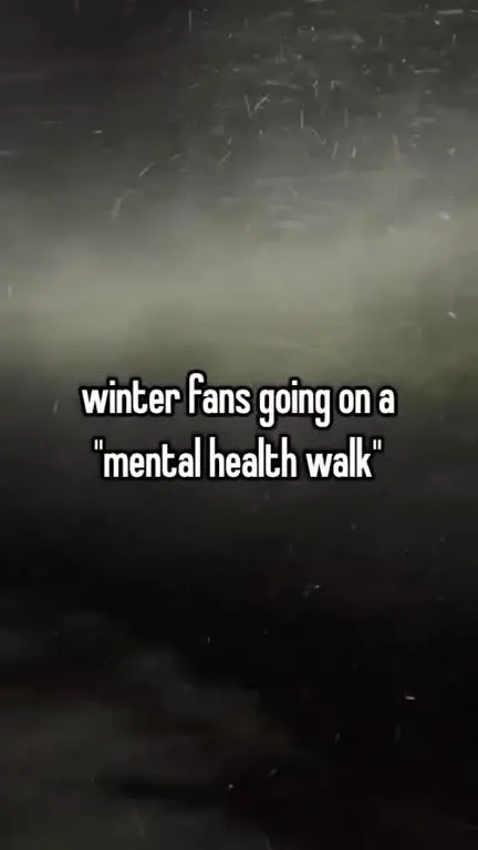 Winter Fans Mental Health Walk
