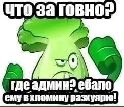 Где админы, ебало разуярю