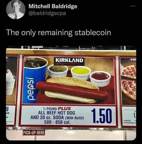 The Last Stablecoin