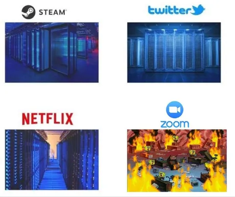 Steam Twitter Netflix Zoom Servers