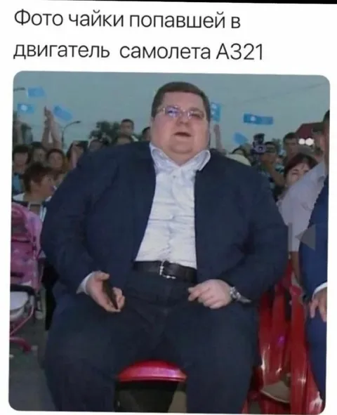 Чайка в двигателе A321