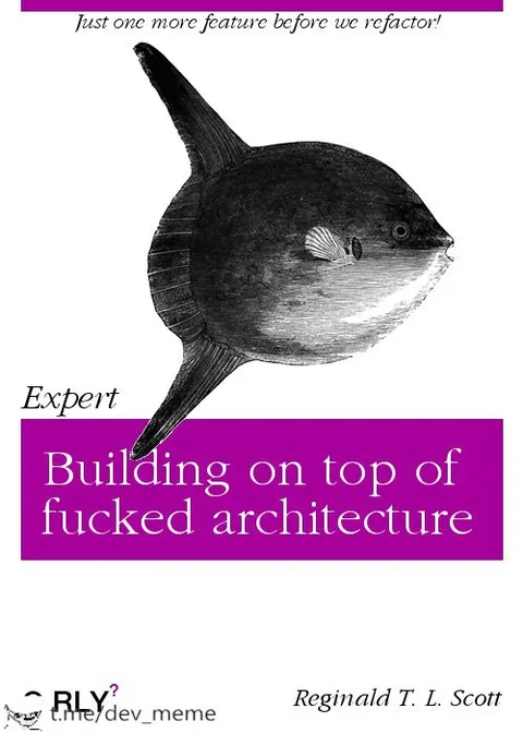 Building on Fucked Architecture