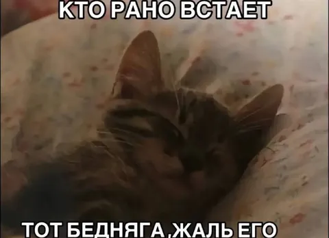 Кто рано встает, тот бедняга