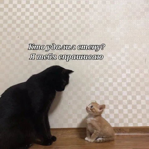 Кто убрал стену