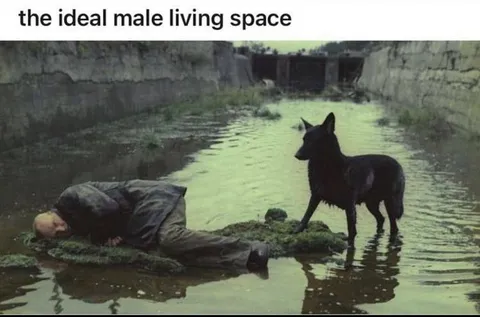 The Ideal Male Living Space