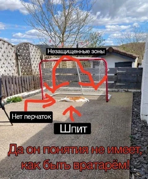 Вратарь без перчаток