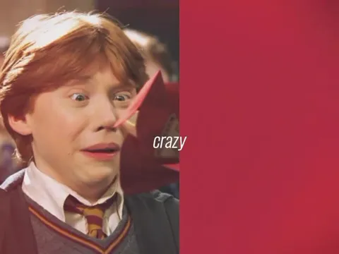 Ron and Harry's Spud Mission