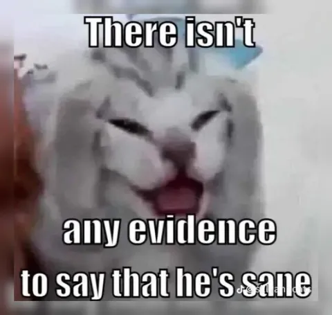 There Isn't Any Evidence He's Sane