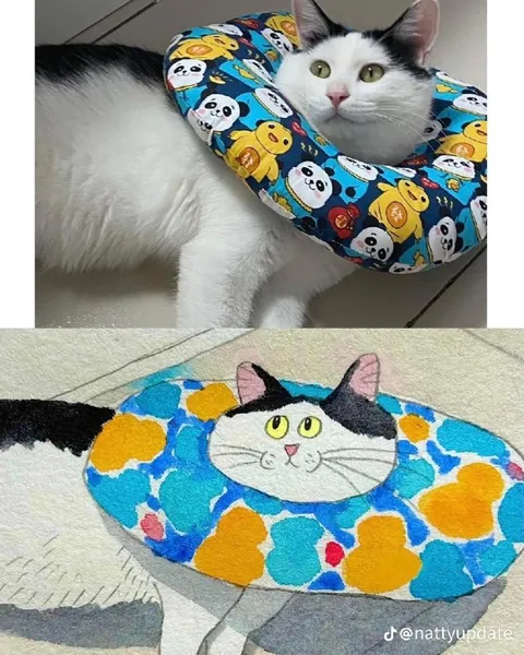 Кот и его рисунок