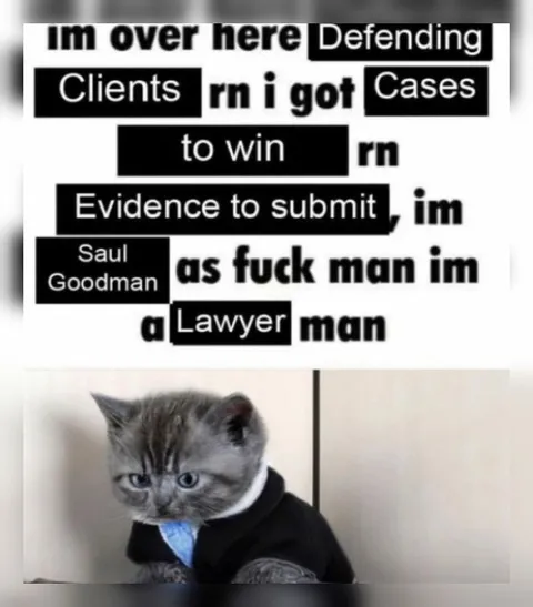 Lawyer Cat Defending Clients