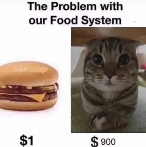 The Problem with Our Food System