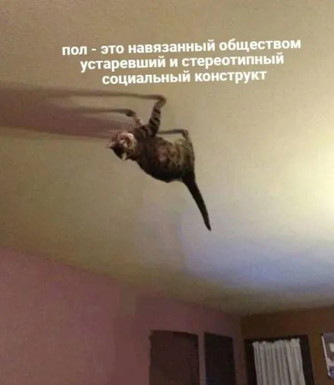Пол — социальный конструкт