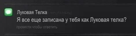 Луковая тёлка в контактах