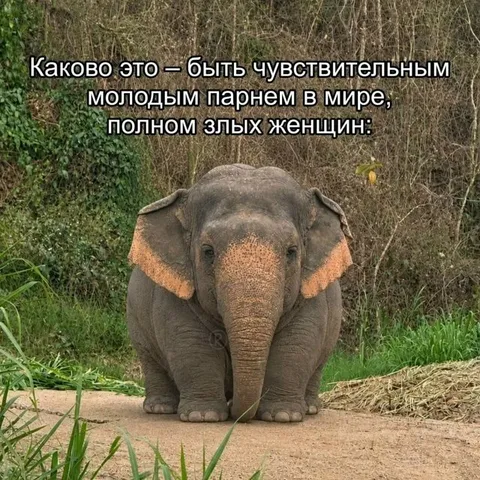 Чувствительный молодой парень