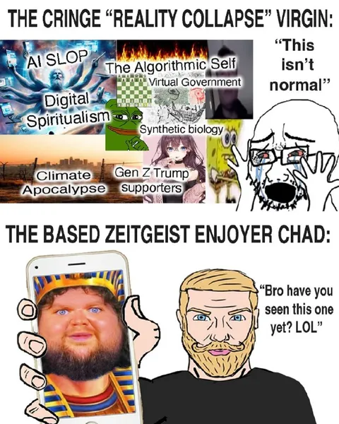 Reality Collapse Virgin vs Zeitgeist Chad