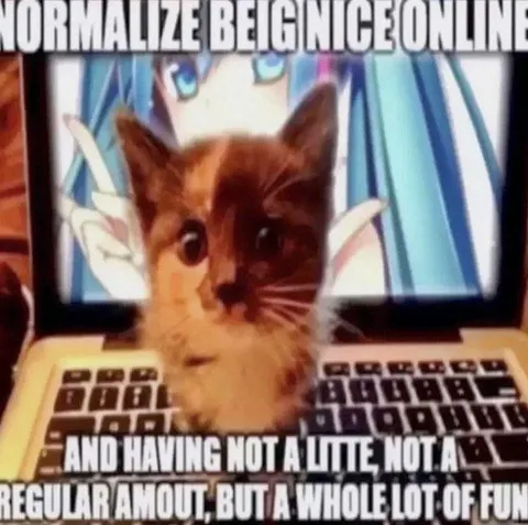 Normalize Being Nice Online