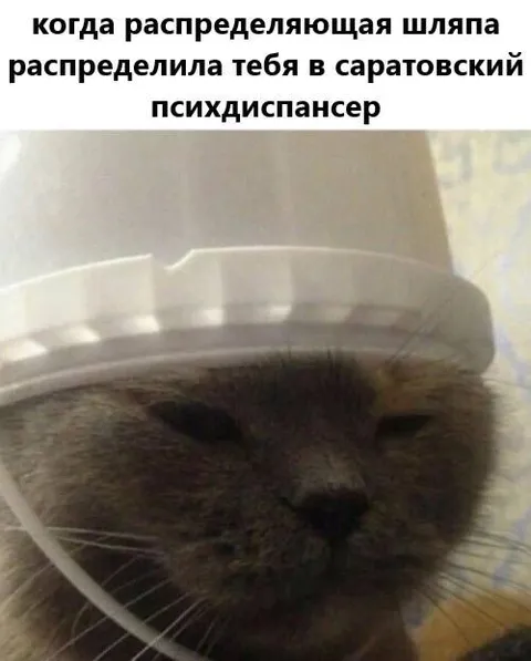 Распределяющая шляпа в психдиспансере