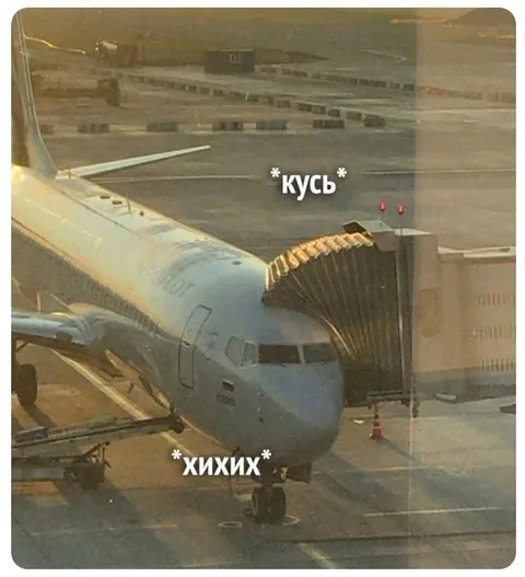 Самолёт кусает терминал