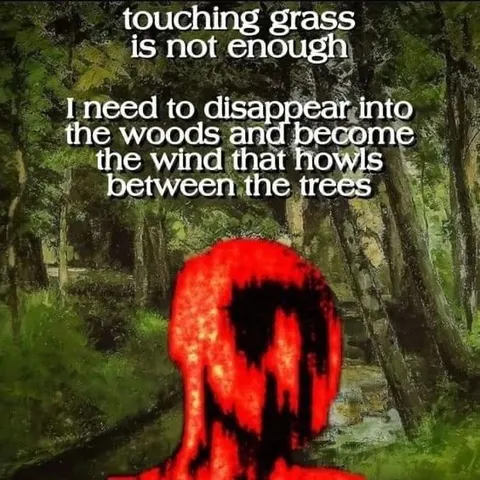 Disappear Into the Woods