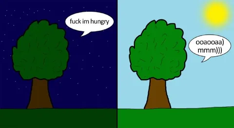 Tree Gets Hungry at Night
