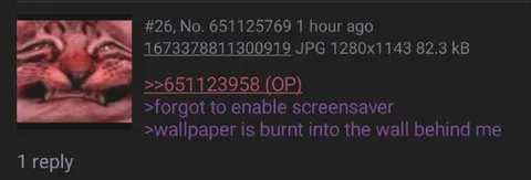 Wallpaper Burned Into the Wall